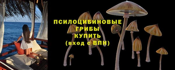 бутират Горняк