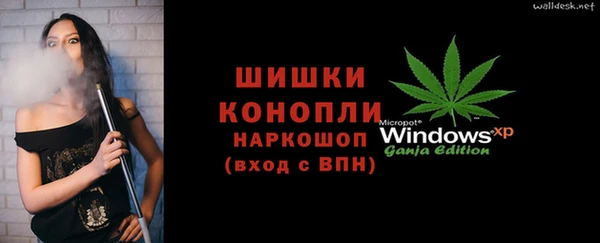 винт Горно-Алтайск