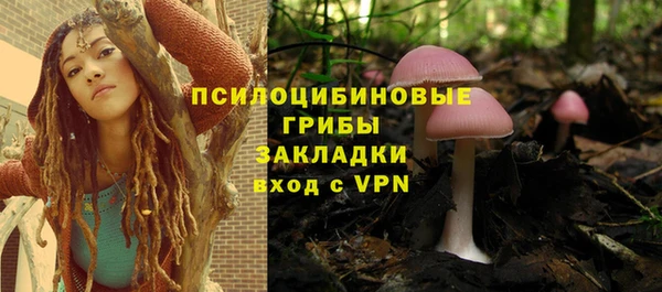 винт Горно-Алтайск