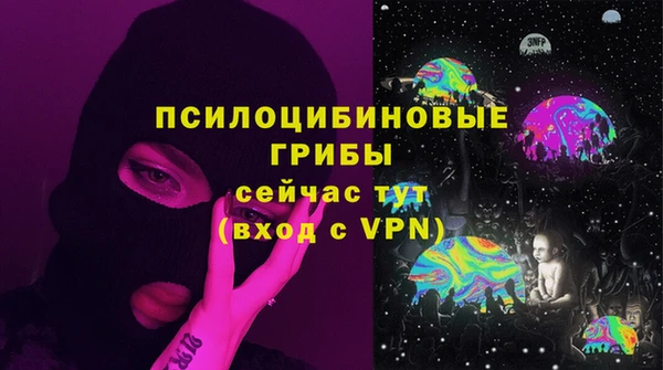 бутират Горняк