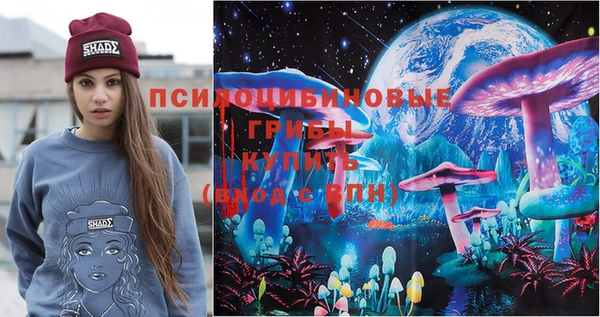 винт Горно-Алтайск