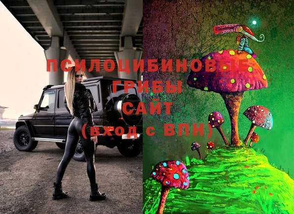 винт Горно-Алтайск